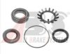 AUGRO 51882066 Wheel Bearing Kit